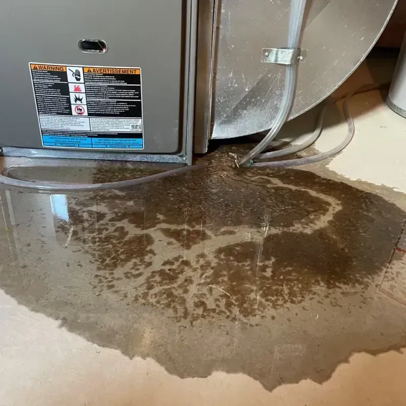 Appliance Leak Cleanup in Wolcottville, IN